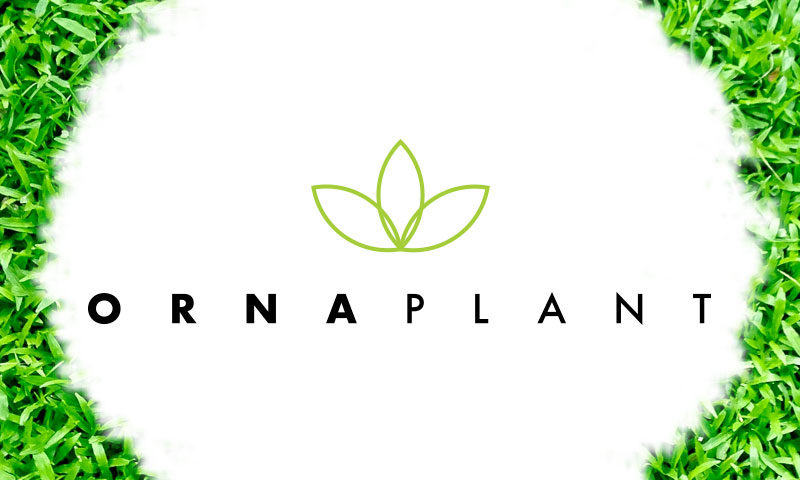 Logotipo hOrnaplant - Redes Sociales ttps://www.instagram.com/petalsandtails/